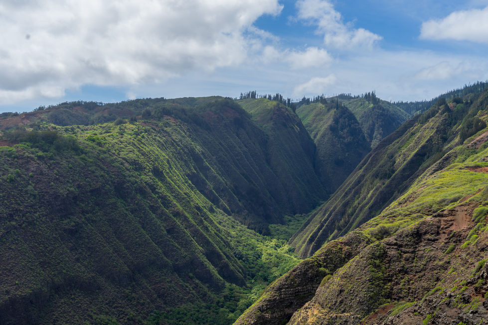 Lanai-59.jpg