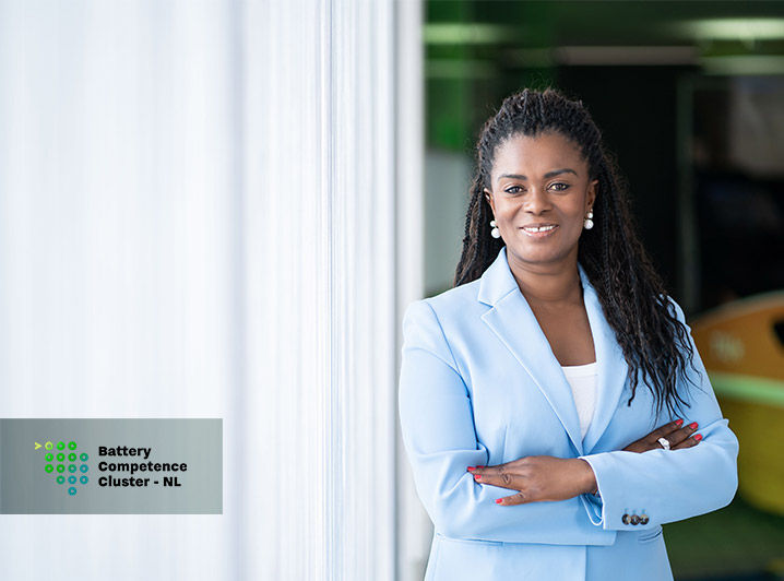 Securing the material independence of batteries