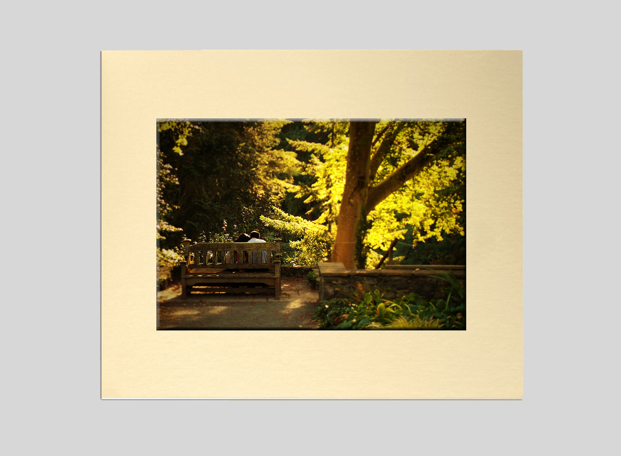 Bodnant Bench