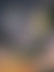 Waves of Love Promotion on MSC Opera