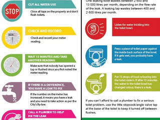 Water Saving Tips
