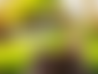 Parent Guide: Imaginary Friends