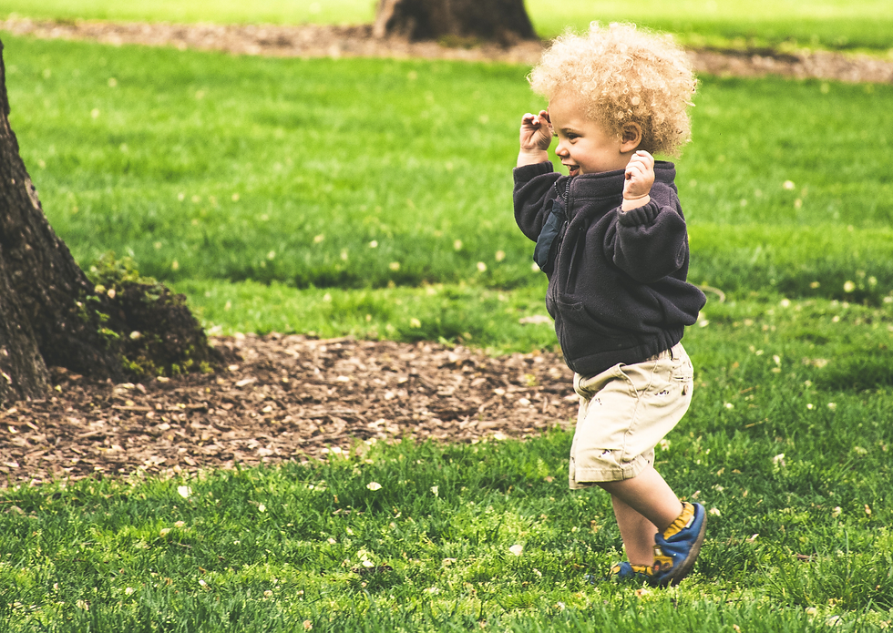 Explore Local Festivals or Community Events