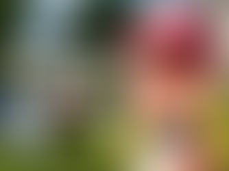 Summer Events for Families in Surrey & South London