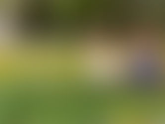 Spring Inspired Storybooks for Under 5s