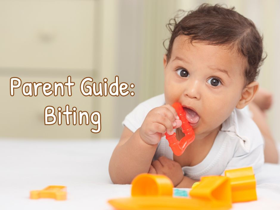 Parent Guide: Biting (Updated for 2026)