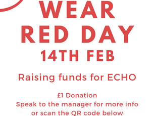 Congenital Heart Disease Awareness Week - raising funds for ECHO