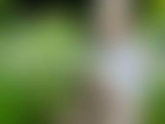 A parent’s guide to gardening with your little one