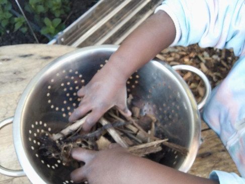 Playing out in the garden