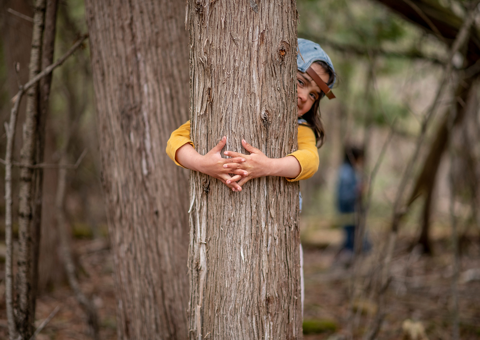 Try a Forest School Adventure