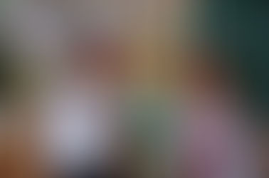 ДЕНЬ СОБОРНОСТІ