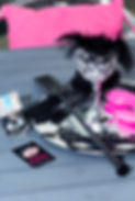 sensual-impact_l_2023_022_cammelhurse_cammelsphotography.jpeg