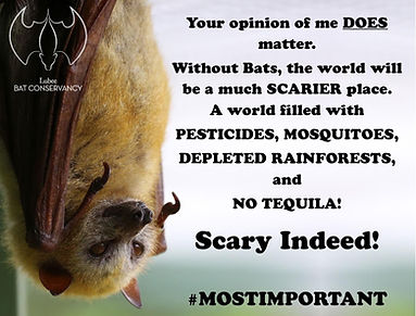 Your opinion does matter.JPG