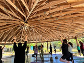 Yoga & Bats 2023 (10).JPEG