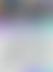 2025年8月国際幼児健康デザインスペシャリスト養成(初級)in大阪(文の里幼稚園)