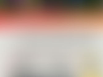 2025年9月国際幼児健康デザインスペシャリスト養成(初級)in大阪(にしき認定こども園)