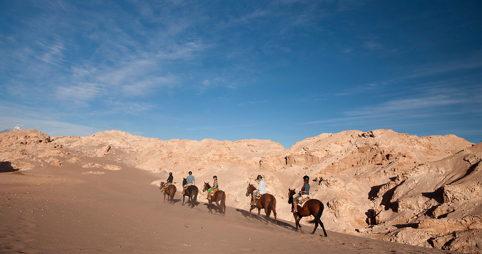 cabalgata-Atacama_Desierto-ACT41 (1).jpg