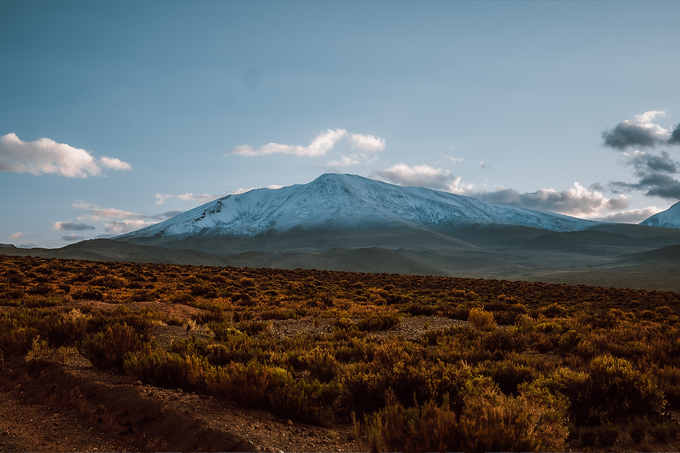 Cerro_Jorquencal_2 (1).png