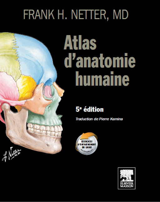 Netter Atlas Pdf TELECHARGER Netter - Atlas d'anatomie humaine GRATUITEMENT PDF