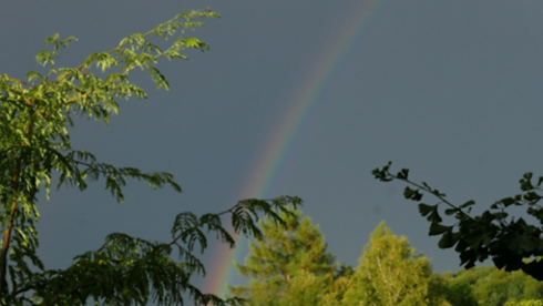 regenbogen NEU.png