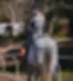 Rider-Position-Amelia.webp