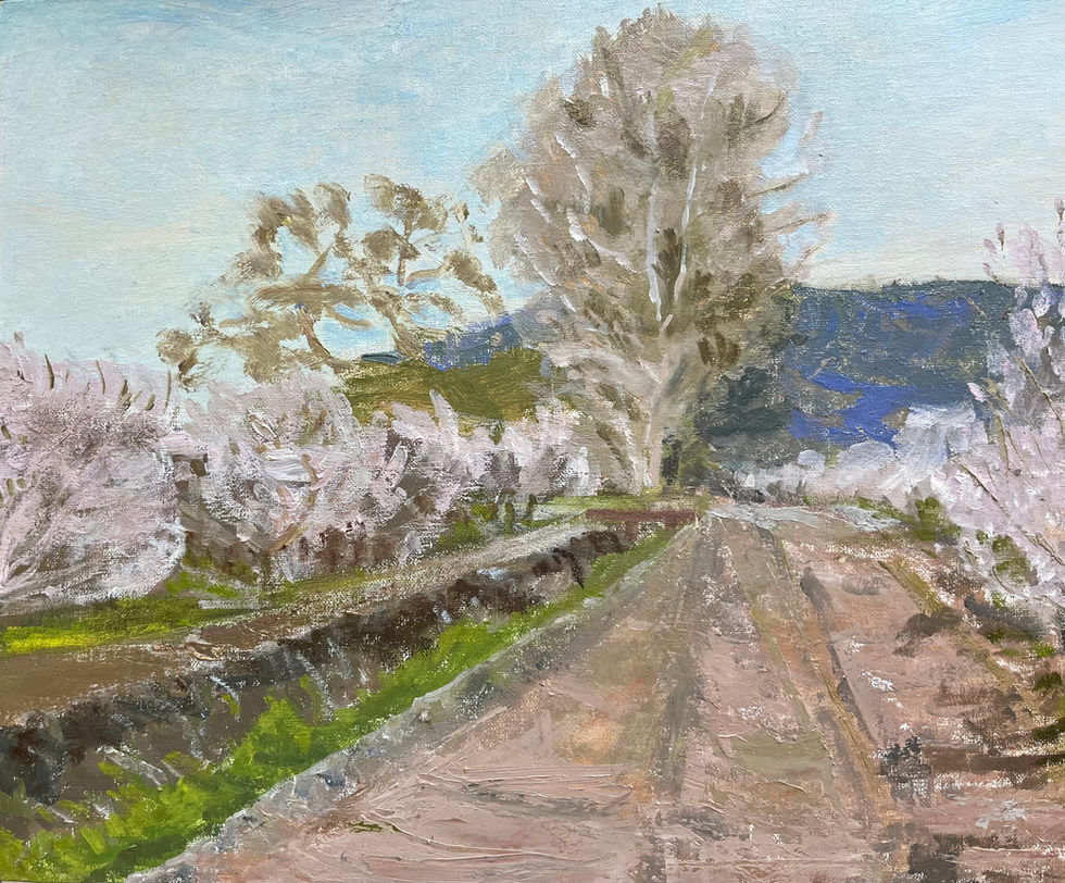 The canal is dry this hot day, with the almond trees in full bloom.
