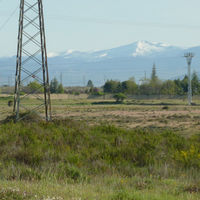 p1000935