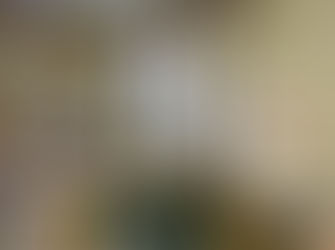 NYS 4-H Celebrates Produced in NY