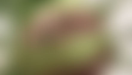 What if self-care is more than you think?