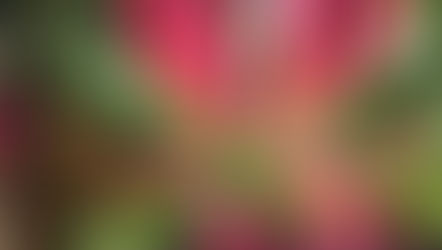 Why TRE isn’t competing with a ten-grand massage chair