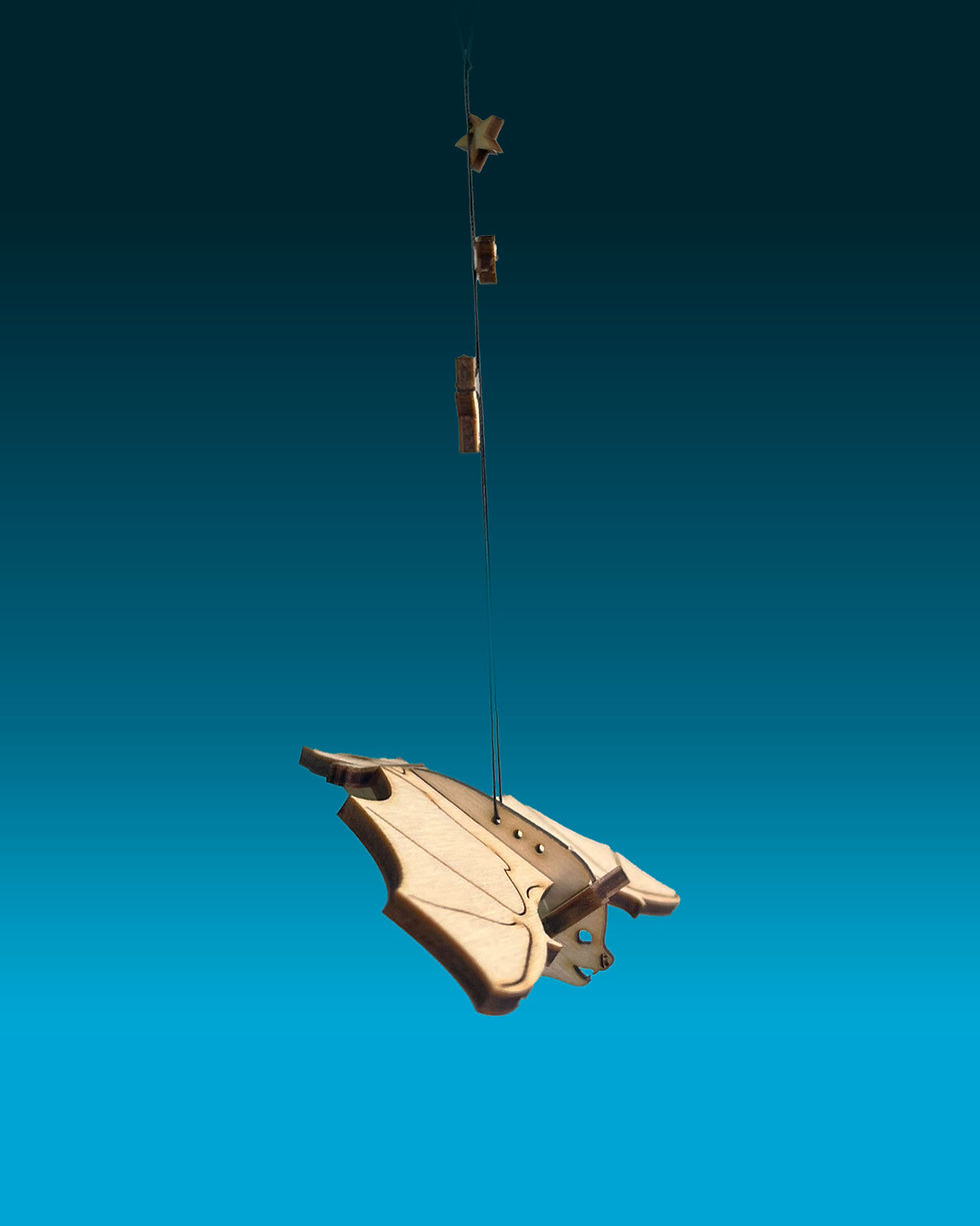 Thumbnail: Bat Kit