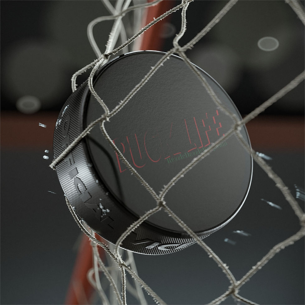 縮圖：PUCK LIFE Hockey Puck 