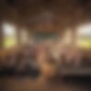 1758786425144-61c705ab-f31a-4d72-b337-ae00397c18f9.png