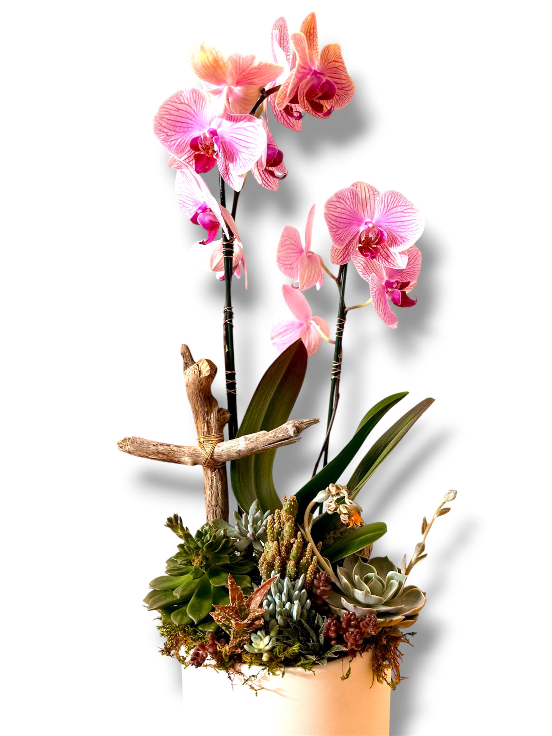 Luxe Desert Bloom