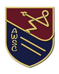 AWSC 01_edited_edited_edited.png