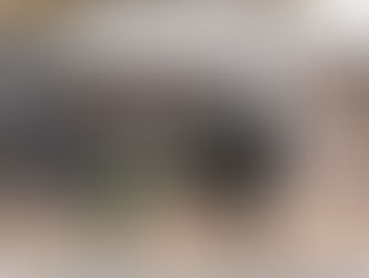 Réadaptation neuro-fonctionnelle assistée par le cheval, par Sophie Olivetti