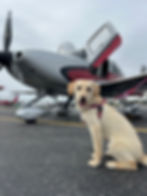 propsforapurpose-AnimalRescue_IMG_6688.HEIC.jpeg