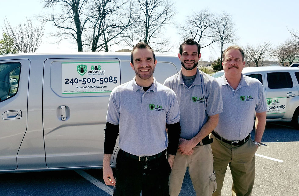 hagerstown maryland pest control team all smiles