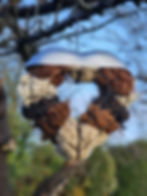 Thumbnail: Bird nesting material (XL heart)