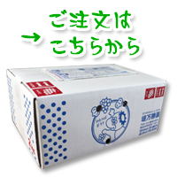 巨峰 シャインマスカットのご注文 堤万勝園 巨峰 シャインマスカットのご注文 堤万勝園