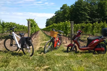 Two ebikes and a scooter parked in a vineyard.