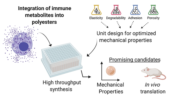 Website metabolism materials.png