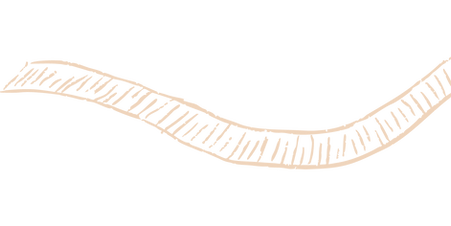 202509_秋分園遊會KV-09.png