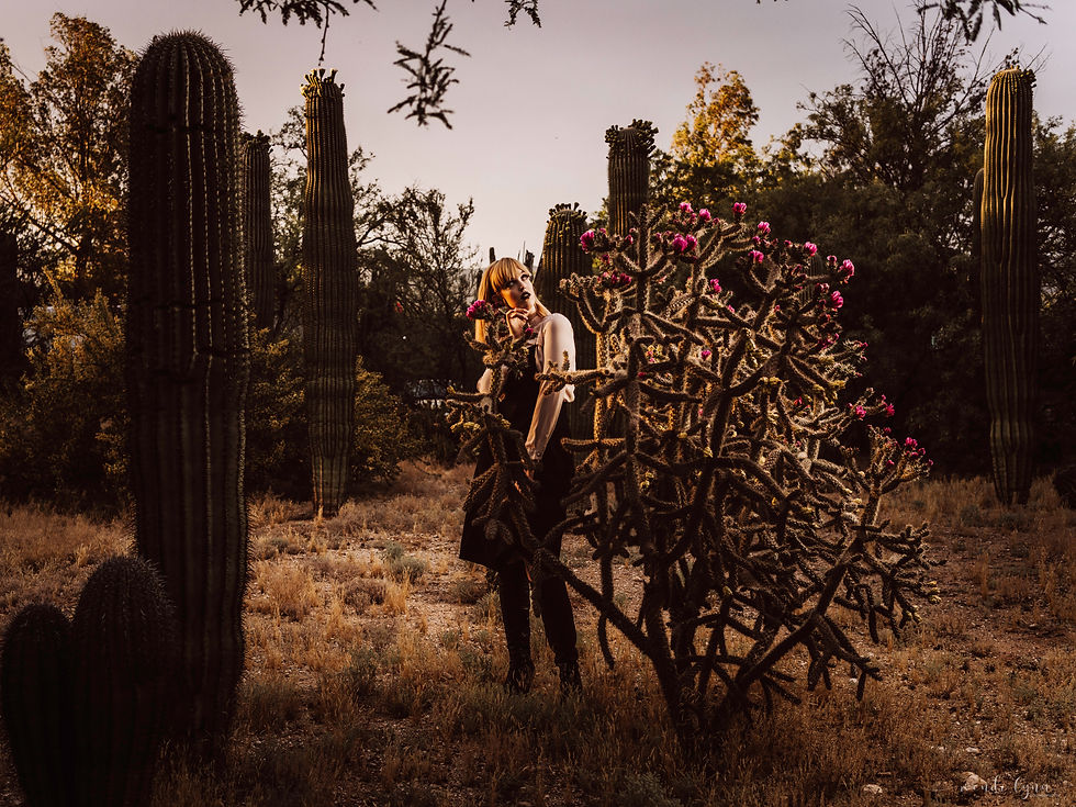 A little gothic in the desert