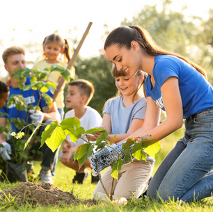 Why is project-based learning so appealing?