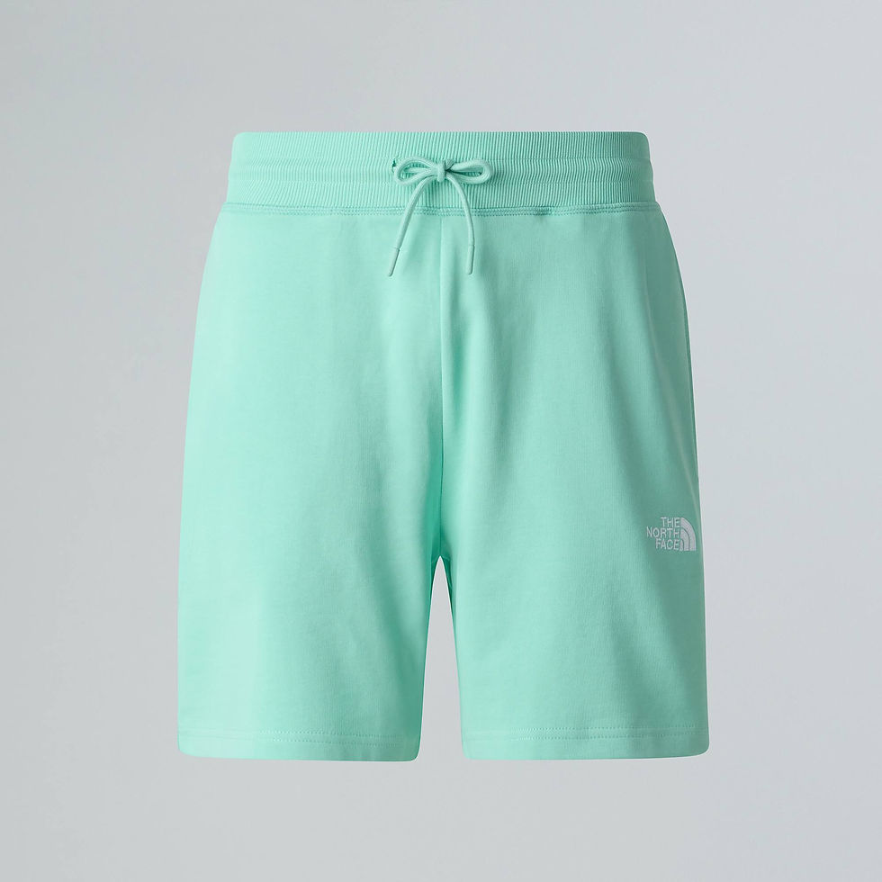 The North Face Essential Lite Shorts Bright Foam - image 1