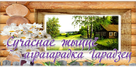 сучаснае жыццё аграгарадка гарадзец.png