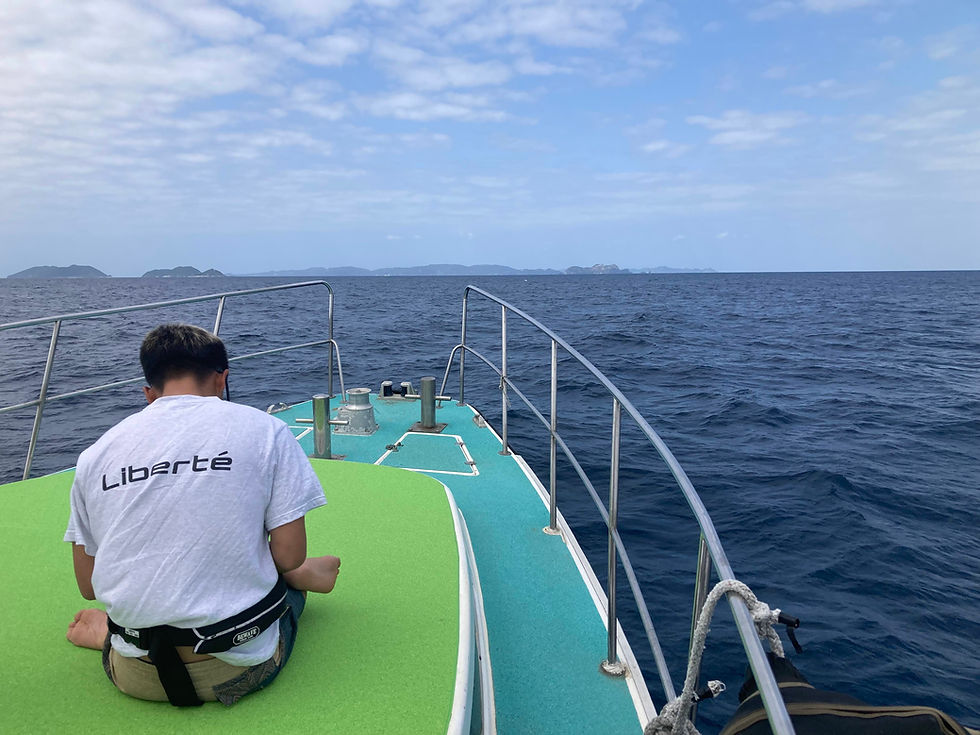 Miniatura: Discover Scuba Dive (Mergulho Experimental)- 3 x Boat entry - Kerama Islands