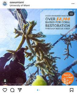 Ocean Awareness Week 2018 - Photo Edits & Captions by Claire Griffin