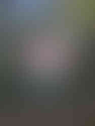 Forêt Arthez de béarn et orb Joëlle talpin